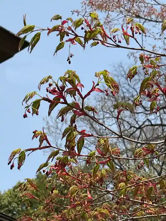 富部神社(愛知県)