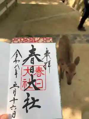 春日大社の御朱印