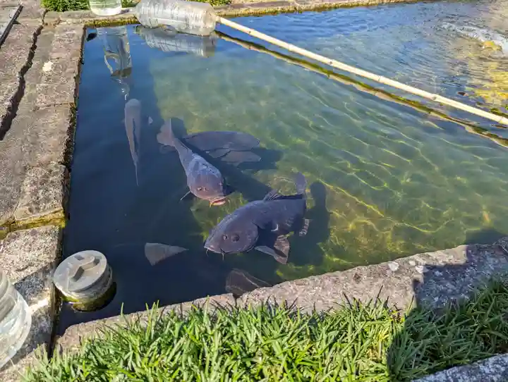 華光寺(京都府)