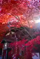 高幡不動尊 金剛寺(東京都)