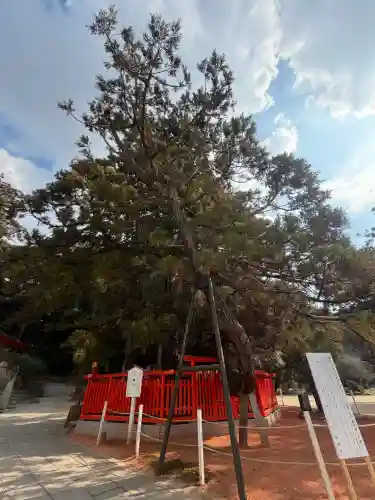 香椎宮の{uncategorized: "未分類", other: "その他", undefined: "問題あり", building: "その他建物", grave: "お墓", sacred_gate: "鳥居", guardian: "狛犬", statue: "像", buddha: "仏像", history: "歴史", nature: "自然", garden: "庭園", animal: "動物", pagoda: "塔", temizu: "手水舎", mountain_gate: "山門・神門", sanctuary: "本殿・本堂", subordinate: "末社・摂社", art: "芸術", scenery: "景色", jizo: "地蔵", ema: "絵馬", goshuin: "御朱印", omikuji: "おみくじ", items: "授与品その他", amulet: "お守り", goshuincho: "御朱印帳", eats: "食事", festival: "お祭り", votive_dance: "神楽", shichigosan: "七五三参", wedding: "結婚式", experience: "体験その他", initially: "初詣", around: "周辺", anti_infection: "感染症対策"}