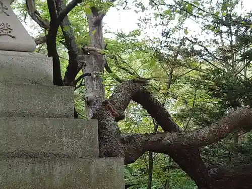 帯廣神社の動物