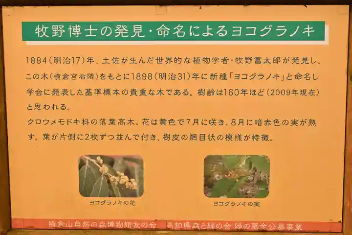 横倉宮(高知県)