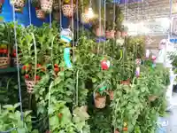 浅草寺のその他建物