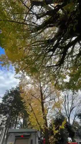 鳩森八幡神社(東京都)