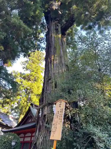 香取神宮(千葉県)