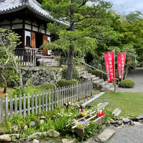 二尊院(京都府)