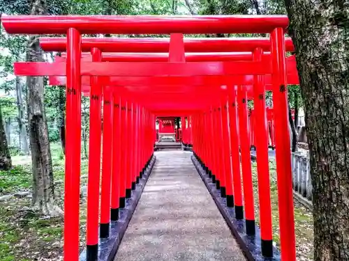 闇之森八幡社の鳥居