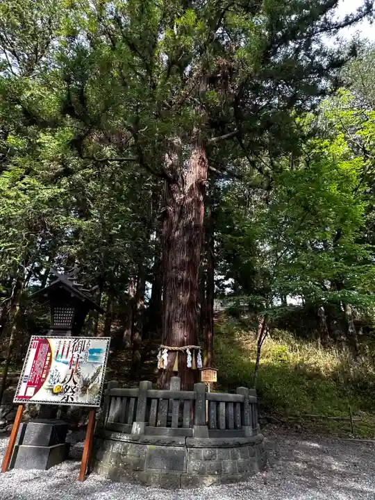諏訪大社下社春宮(長野県)