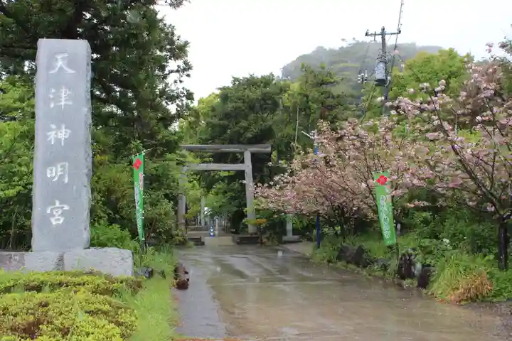 天津神明宮(千葉県)