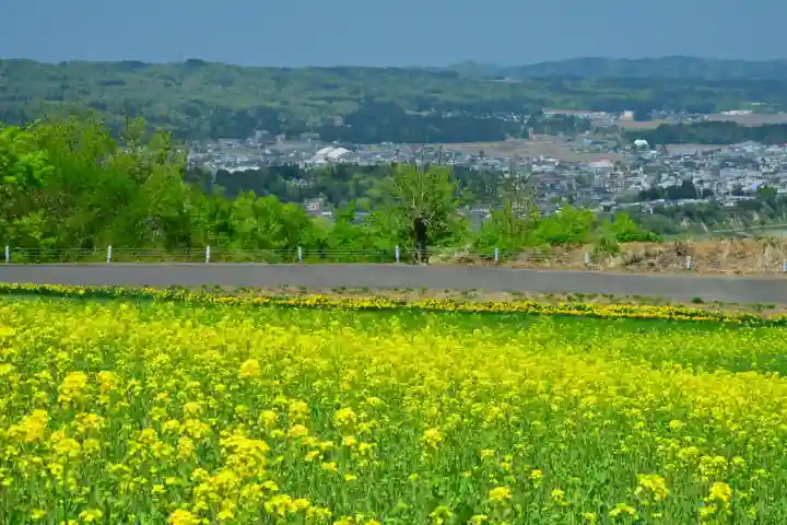 沢山神社(澤山神社)(新潟県)