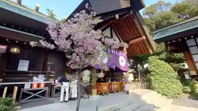 東京大神宮(東京都)