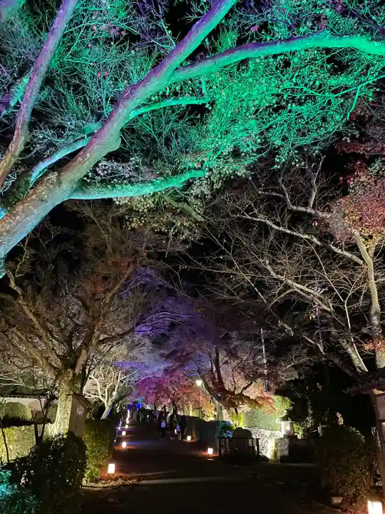 西教寺のその他建物