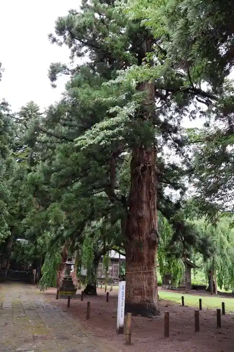 慶徳稲荷神社(福島県)