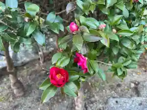 伊勢の国 四天王寺(三重県)(2025年01月14日(火) 10時57分42秒投稿)