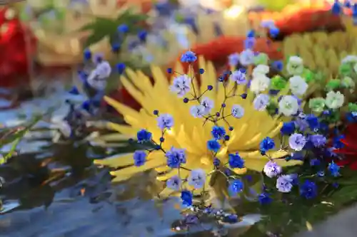 豊景神社の手水