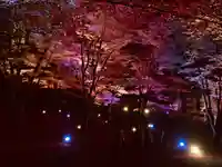 土津神社|こどもと出世の神さまの景色