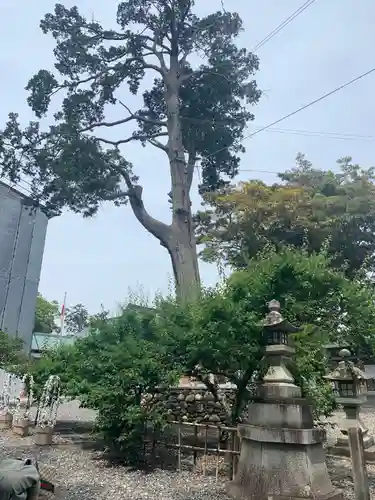 矢奈比賣神社（見付天神）の庭園