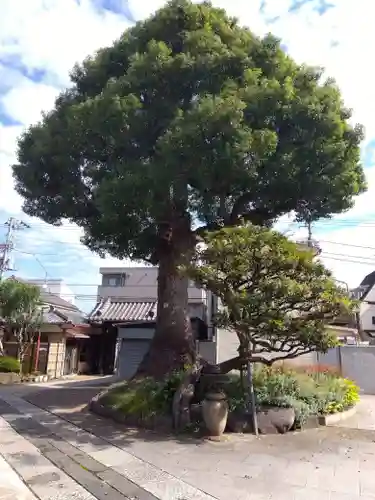 観音寺(東京都)