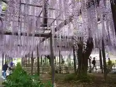 玉敷神社(埼玉県)