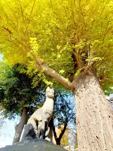 晴門田神社の狛犬