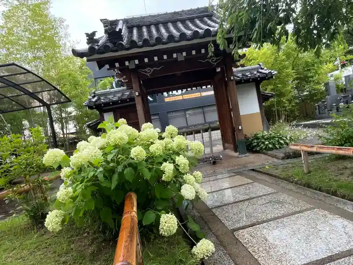 新福寺(大阪府)