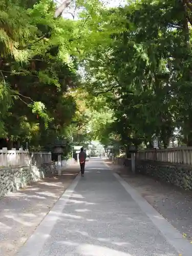 大井神社の自然