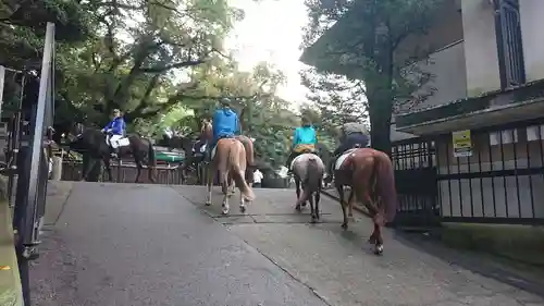 宇都宮二荒山神社の動物
