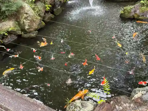 建部大社(滋賀県)