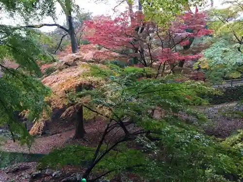 養老神社(岐阜県)