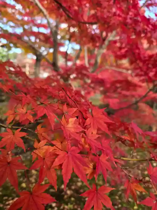 智積院(京都府)