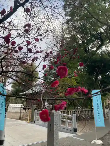 布多天神社(東京都)