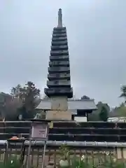 般若寺 ❁﻿コスモス寺❁(奈良県)