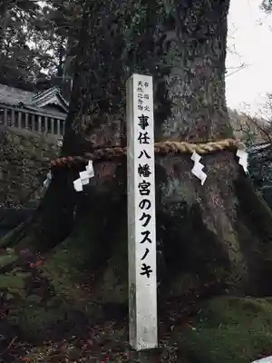 事任八幡宮(静岡県)