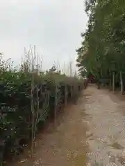 彌都加伎神社の景色