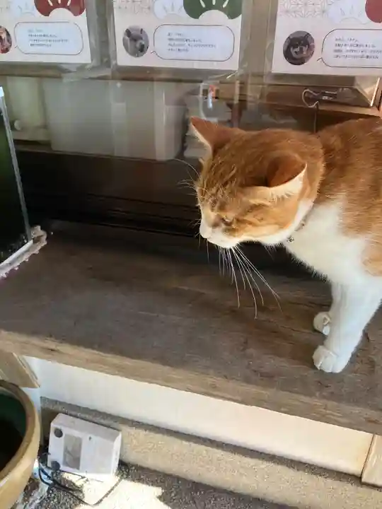 救馬溪観音(和歌山県)