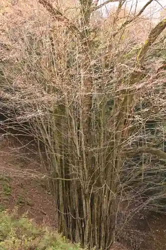 正法寺(滋賀県)