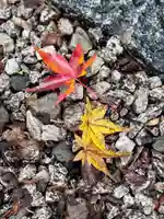 斎明神社(京都府)