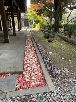 瑞聖寺(東京都)