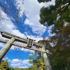 出雲大神宮の鳥居