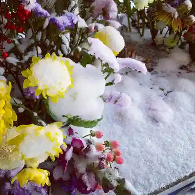 滑川神社 - 仕事と子どもの守り神の手水舎