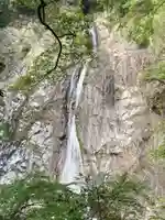 不動尊(布引の滝)の自然