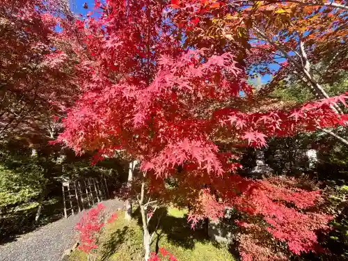 常樂寺(滋賀県)