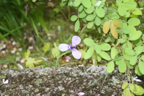 西應寺(滋賀県)