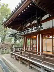 杭全神社(大阪府)