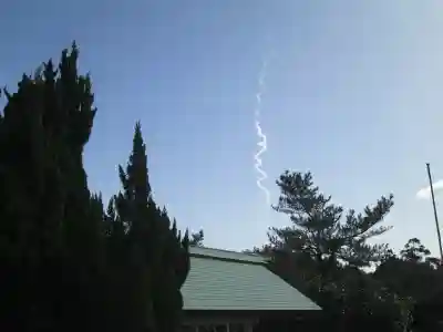 屋久島大社の体験その他