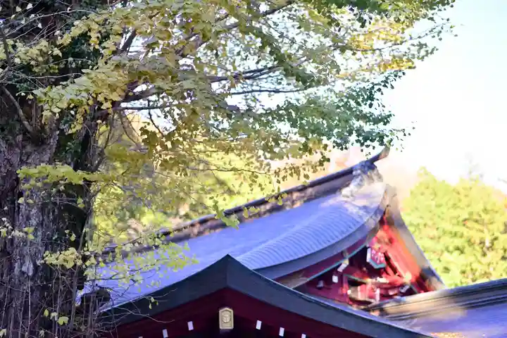 箱根神社(神奈川県)