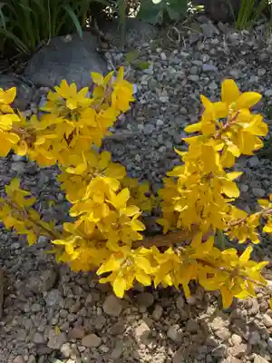 三輪神社(愛知県)