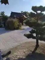 大覚寺(京都府)