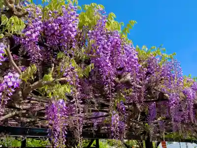 諏訪神社(宮城県)